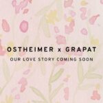 Ostheimer @ Ostheimerwoodentoys • תמונות וסרטונים באינסטגרם