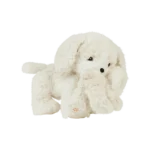 Dinkum Puppy Belle Cream