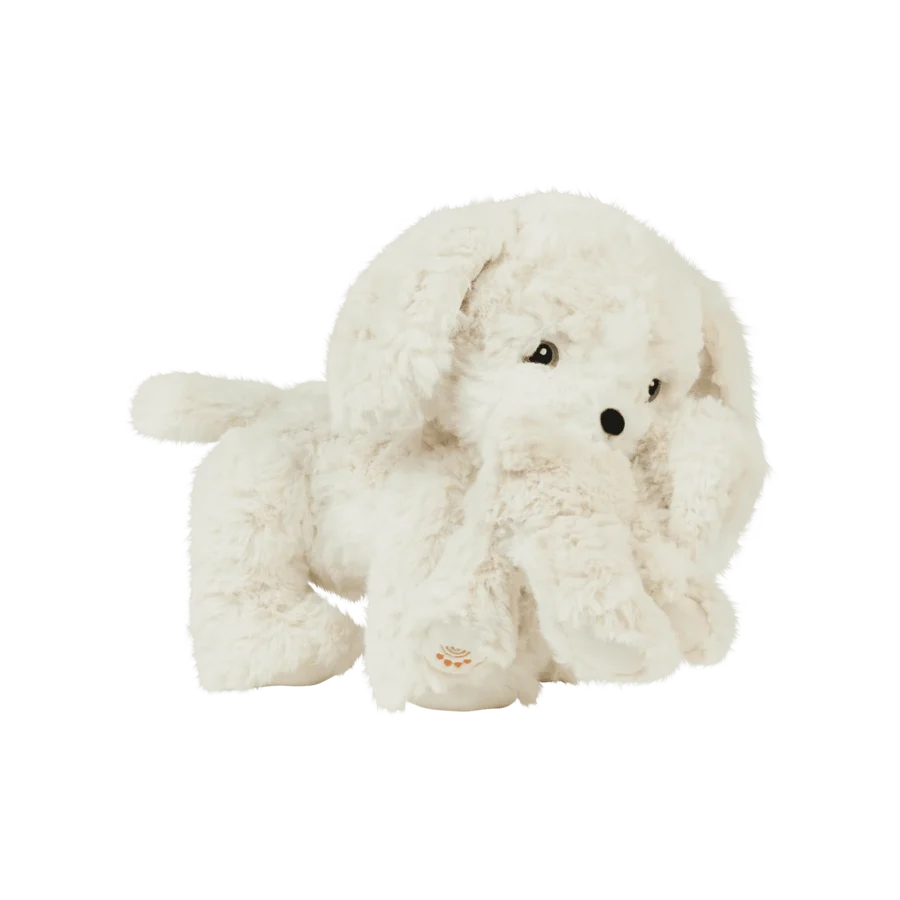 Dinkum Puppy Belle Cream