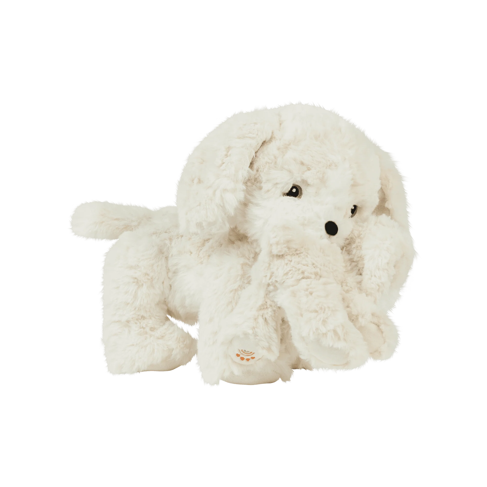 Dinkum Puppy Belle Cream