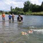 Mamaowl Kraul 1000 K2