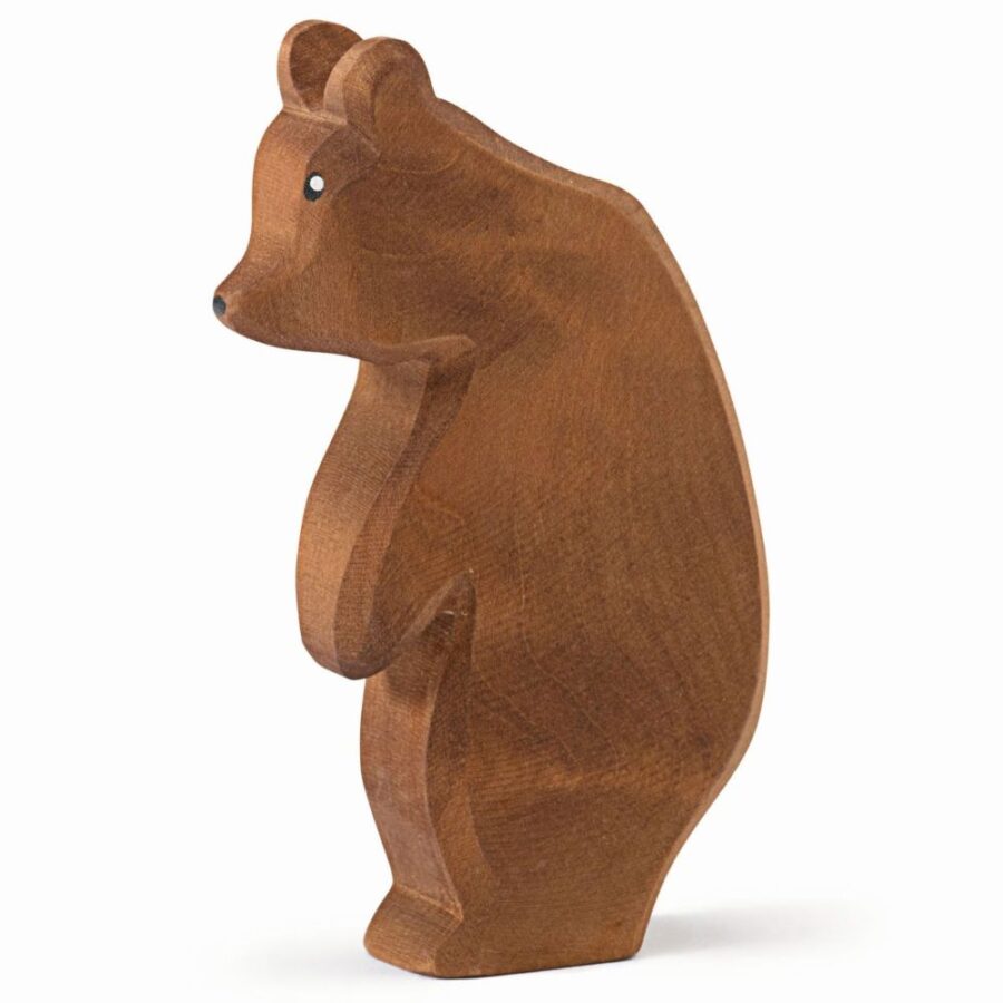 Big Bear Looking Down