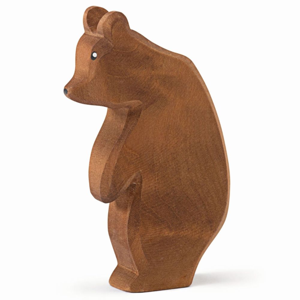 Big Bear Looking Down