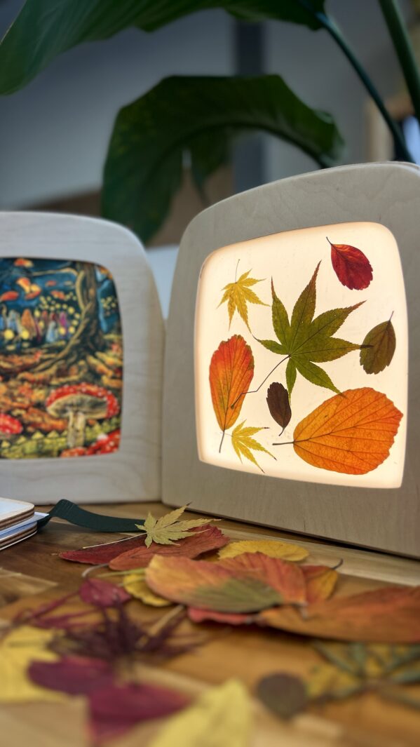 Flower Silhouette Kit. Autumn Flower Silhouette Kit. Autumn