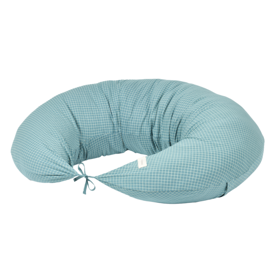 Maternity Pillow Stories Limited Edition (1) Maternity Pillow Stories Limited Edition (1)