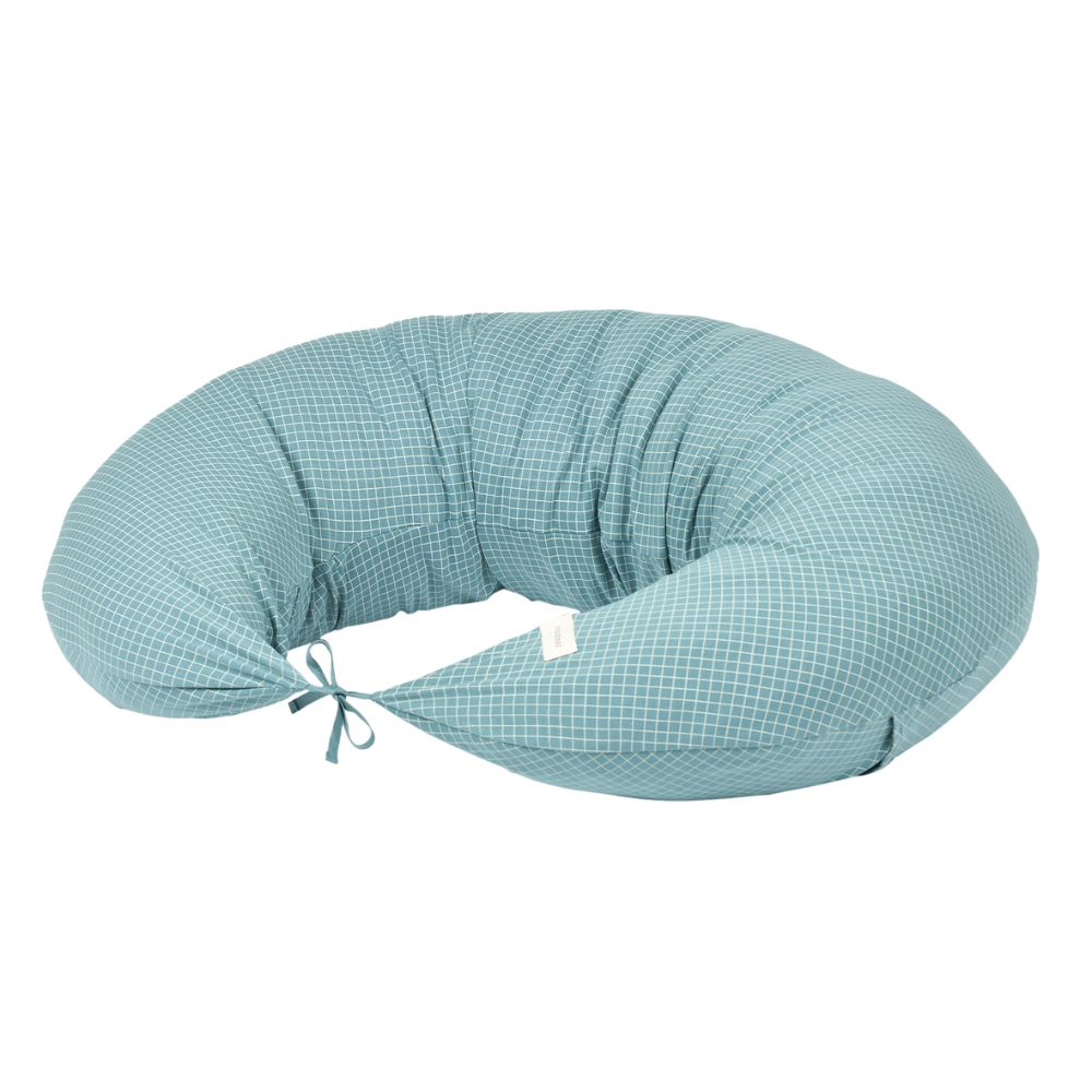 Maternity Pillow Stories Limited Edition (1)