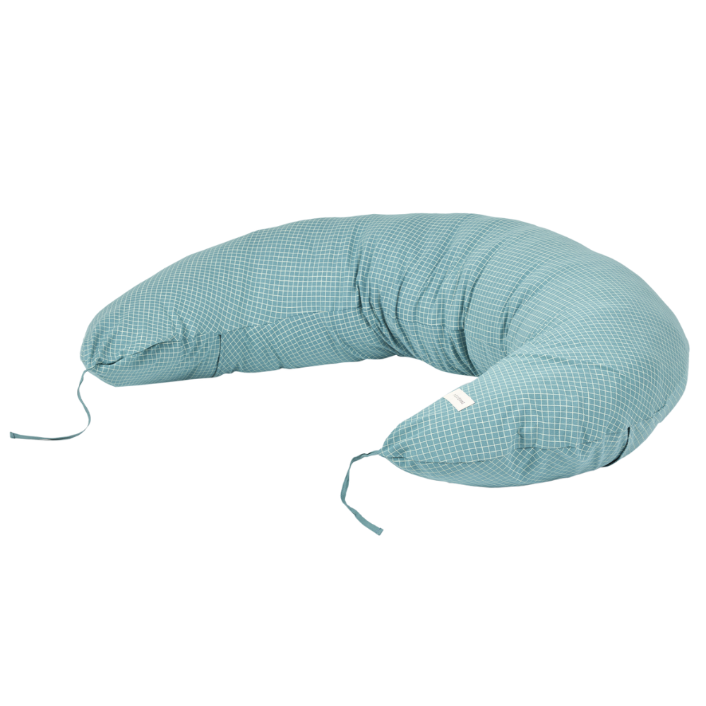 Maternity Pillow Stories Limited Edition (2)