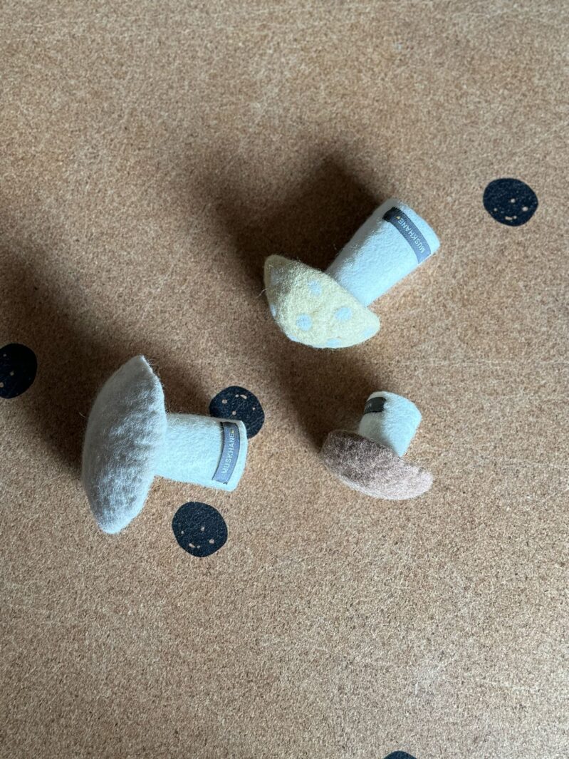 סאמפלים מאי 25 (32)