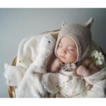 Cuddly Toy Goose Small 1