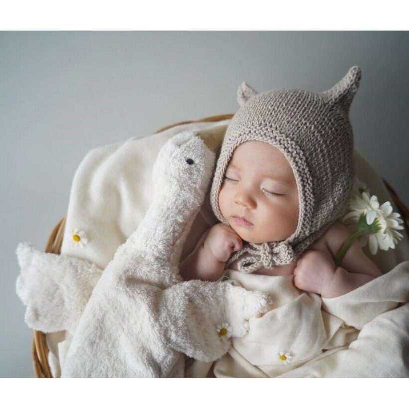 Cuddly Toy Goose Small 1