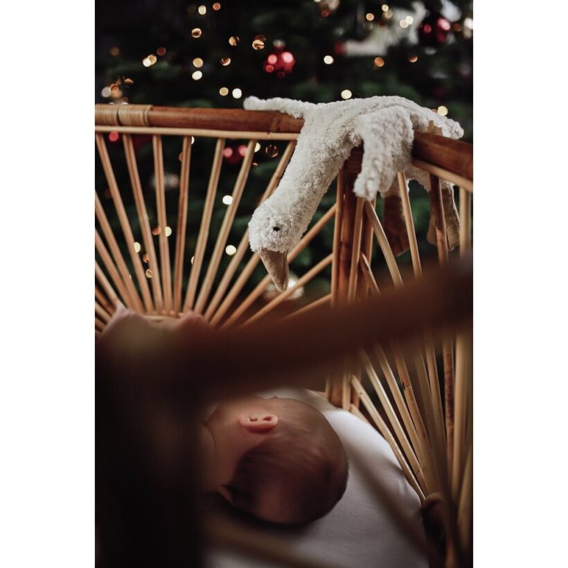 Cuddly Toy Goose Small 4