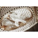 Cuddly Toy Goose Small 6