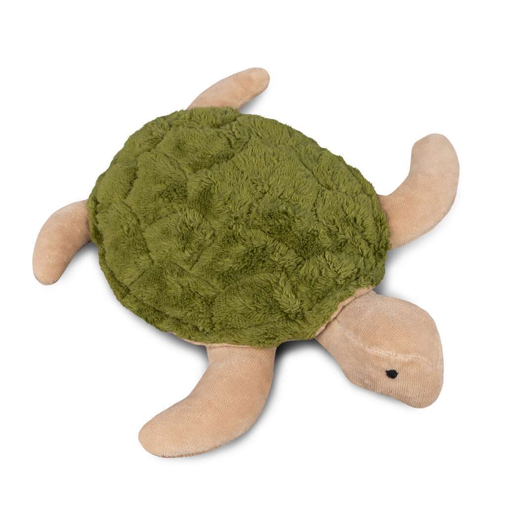 Small Turtle Cuddly Toy