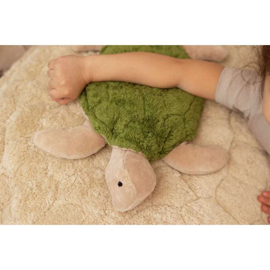 Small Turtle Cuddly Toy3