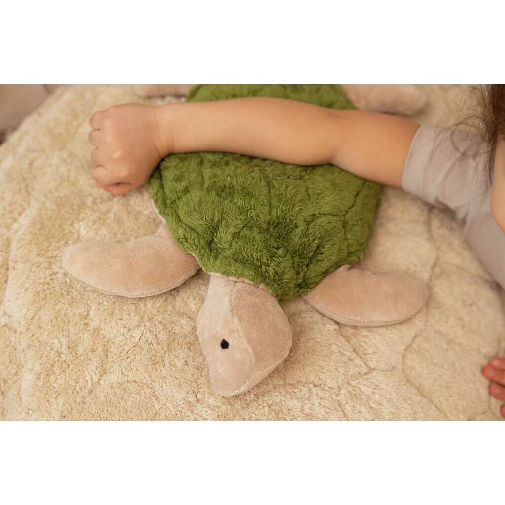 Small Turtle Cuddly Toy3
