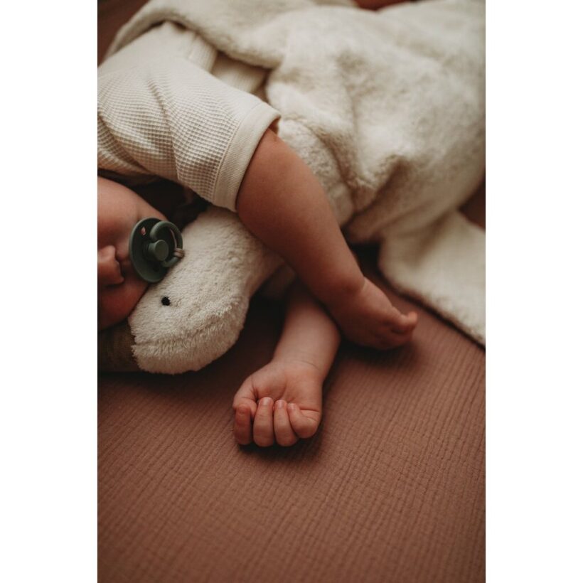 Cuddly Toy Goose Large