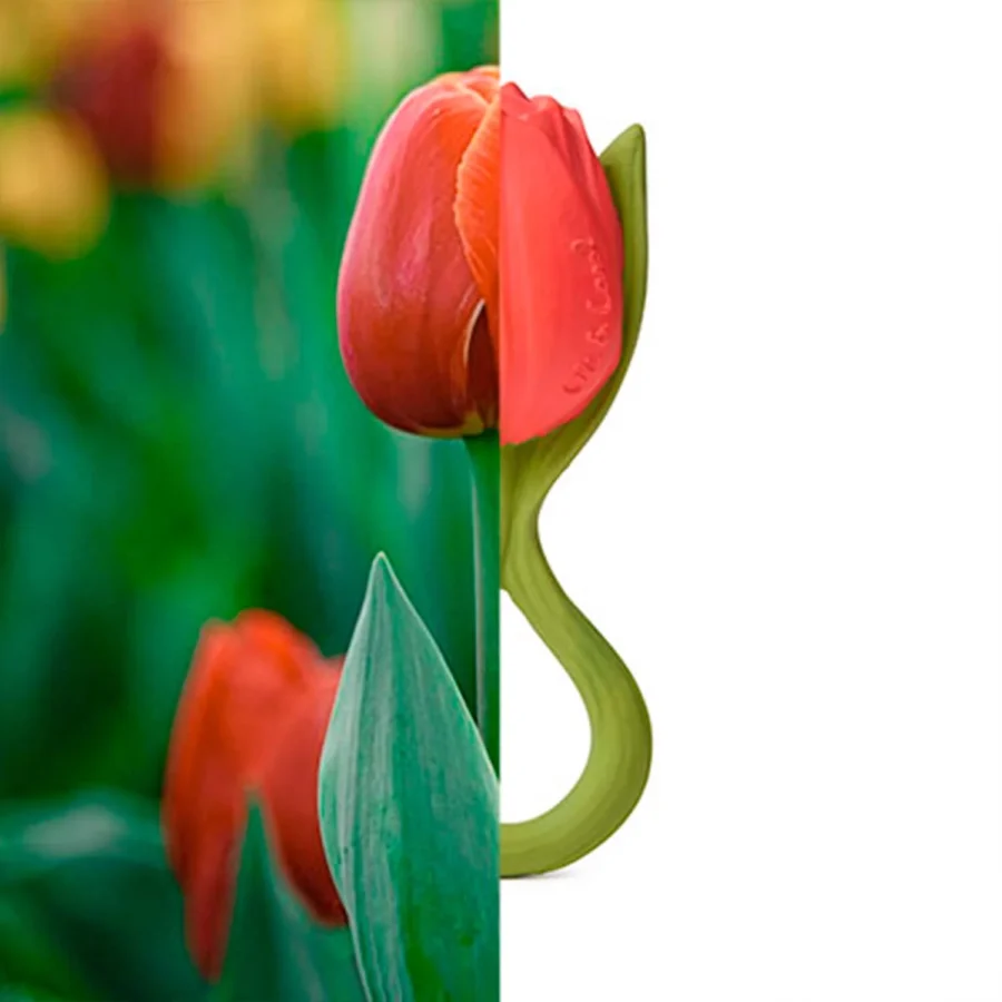 Tulip3