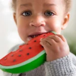 Wally1 75ee4167 2faf 41c9 9dd0 9da3fd4fe555