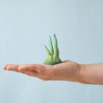 Tropical Fish (8) Tropical Fish (8)