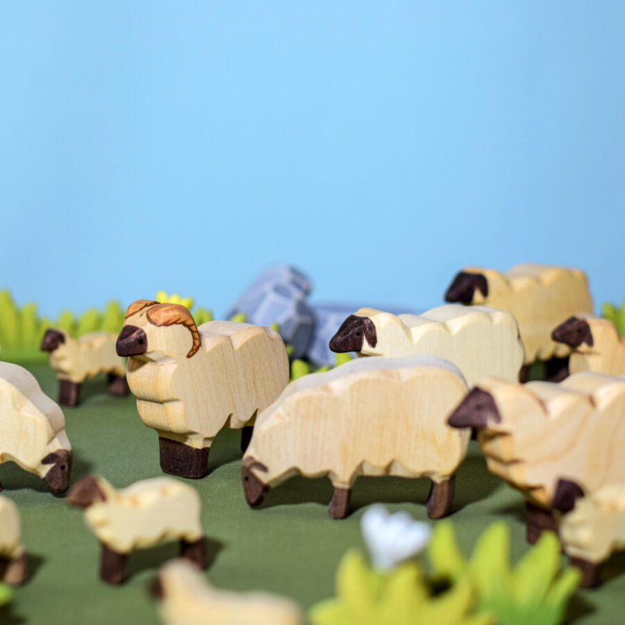 Flock Of Sheep Set~4286 Flock Of Sheep Set~4286