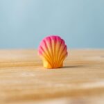 Pink Seashell~8280