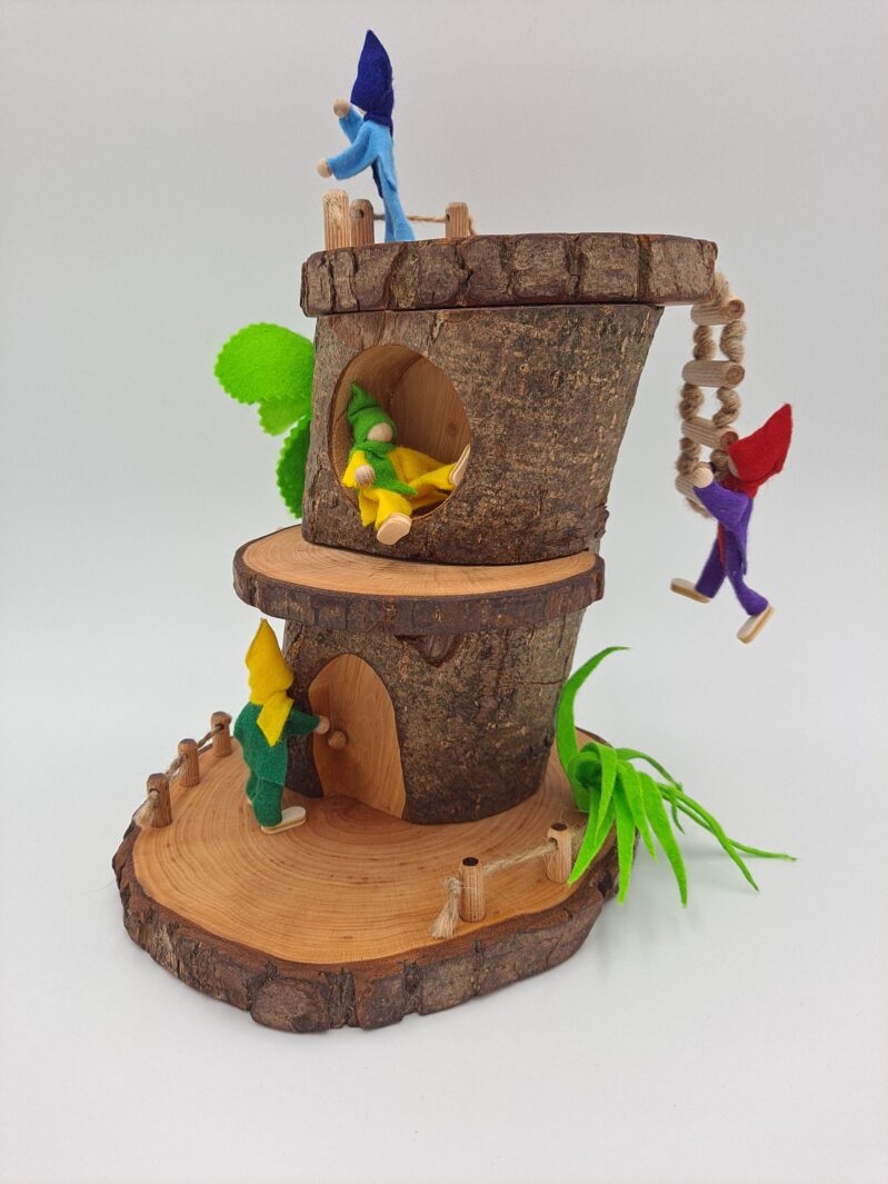 20230125 075033 20230125 075033