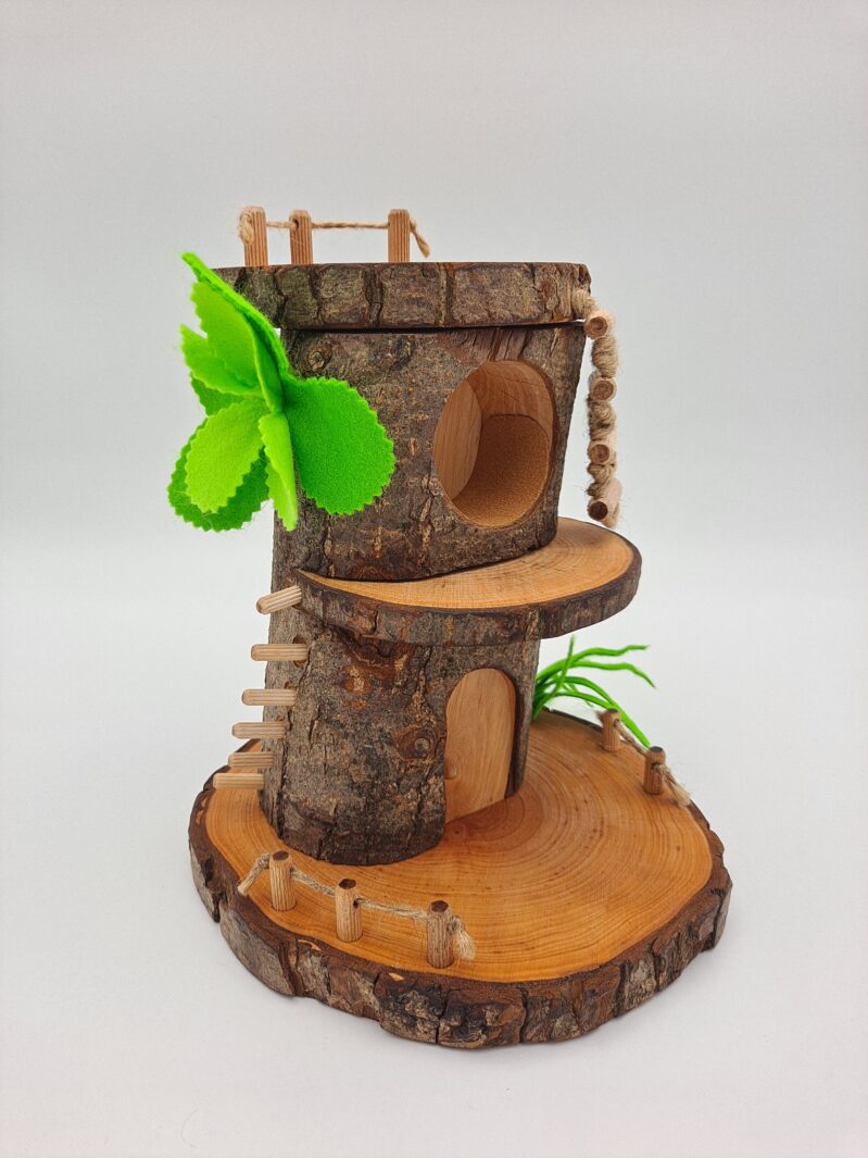 20230125 110407 20230125 110407