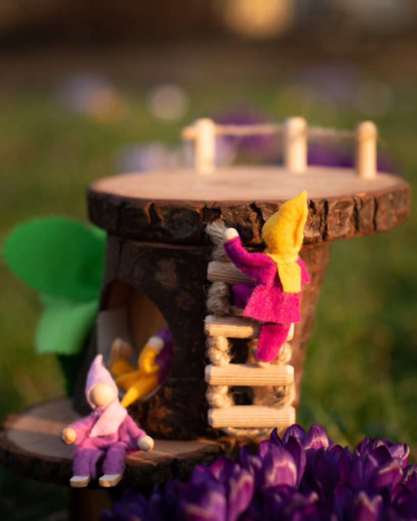 Krokusy Druk 12 Krokusy Druk 12