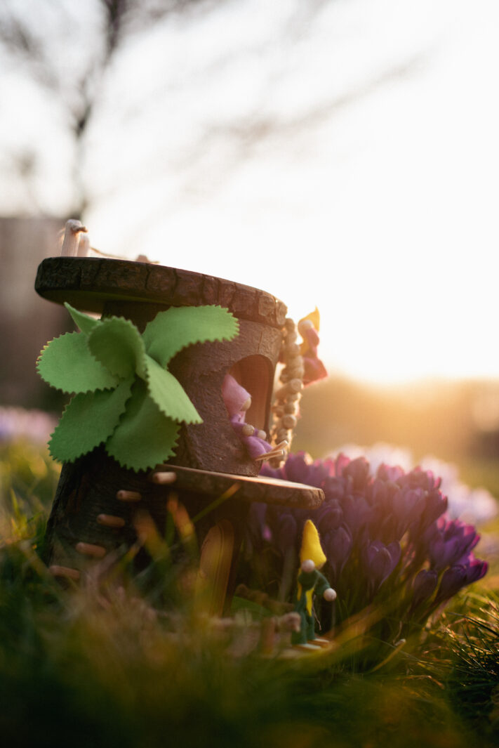 Krokusy Druk 18 Krokusy Druk 18