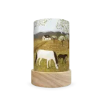 Ts91springfrolic 1800x1800 Ts91springfrolic 1800x1800