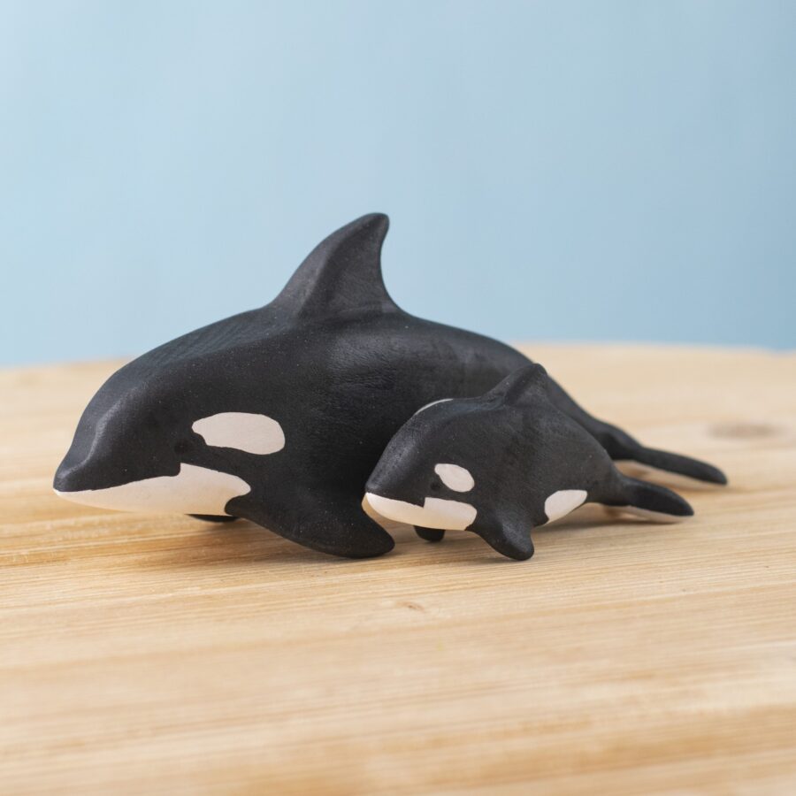 Orca Set~8182 Orca Set~8182