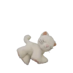 Binky Kitten Kiki 04 Webb 2000x