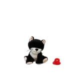 Binky Kitten Kit 01 Web 2000x Binky Kitten Kit 01 Web 2000x