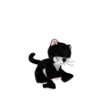 Binky Kitten Kit 04 Web 2000x Binky Kitten Kit 04 Web 2000x