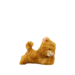 Binky Kitten Koda 03 Web 2000x Binky Kitten Koda 03 Web 2000x