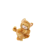 Binky Kitten Koda 04 Web 2000x Binky Kitten Koda 04 Web 2000x