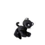 Binky Kitten Koko 04 Web 2000x Binky Kitten Koko 04 Web 2000x