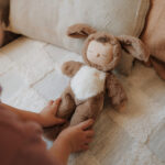 Cozy Dinkum Dog Digby Brindle5 Cozy Dinkum Dog Digby Brindle5