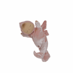 Dozy Dinkum Fairy Aurora 4