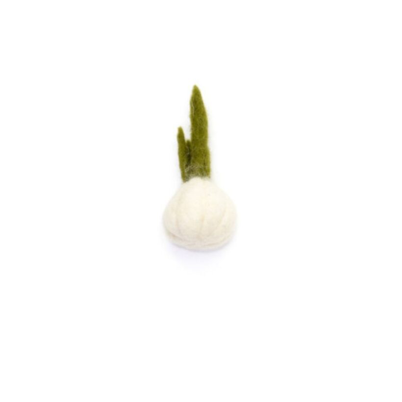Garlic (1)