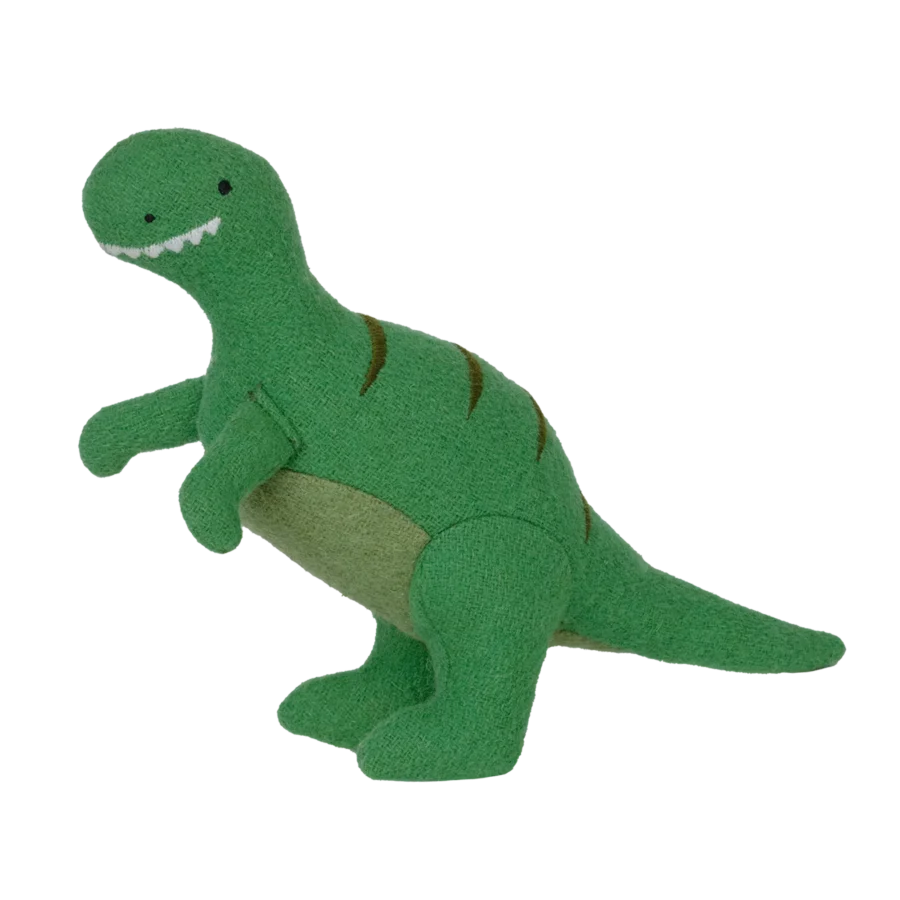 Holdie Dinosaur Trex Toy 1 2000x.png