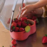 Pepa Apple Bowl Dinnerware 4