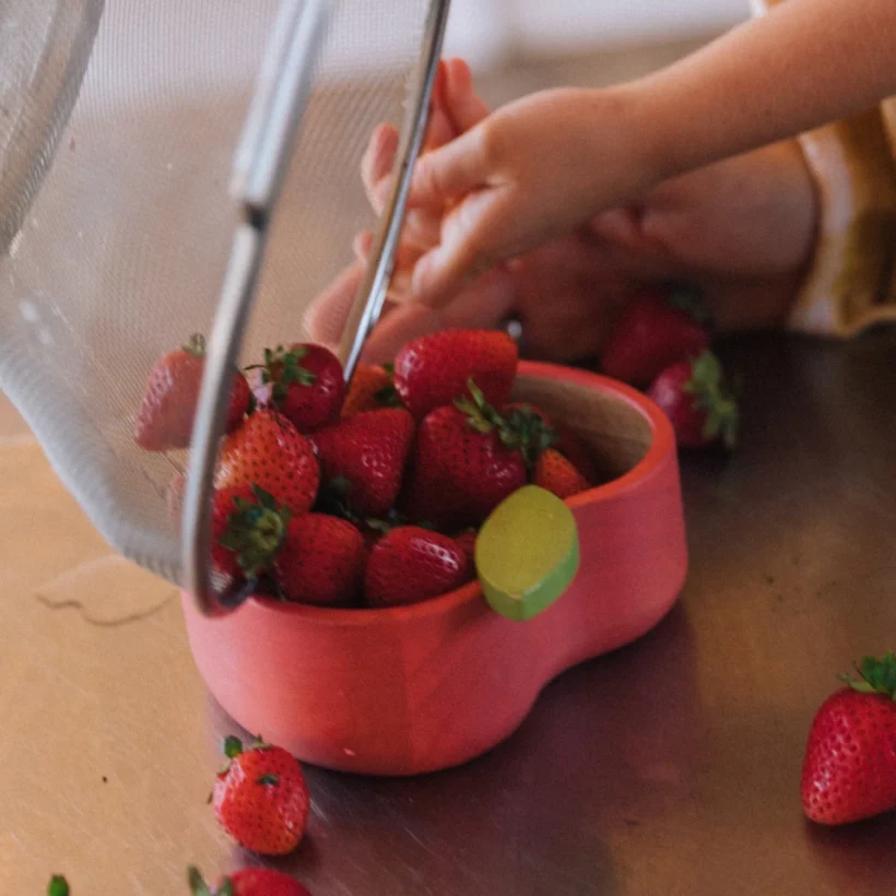 Pepa Apple Bowl Dinnerware 4