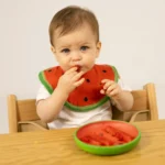 Wally Watermelon Plate Dinnerware 3