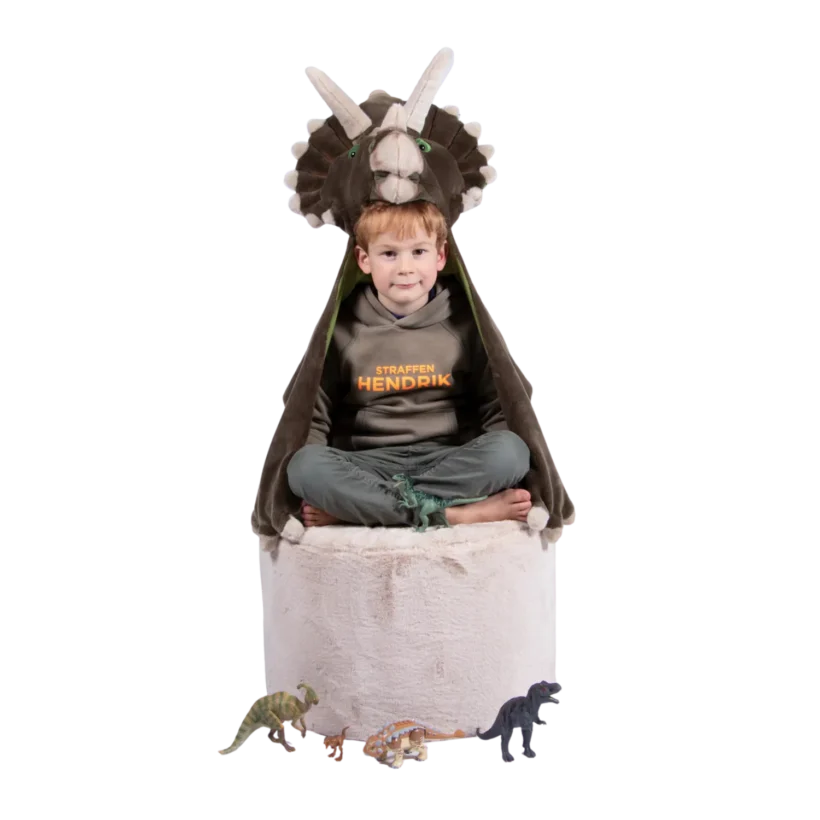 Dinosaur Costume 2.png