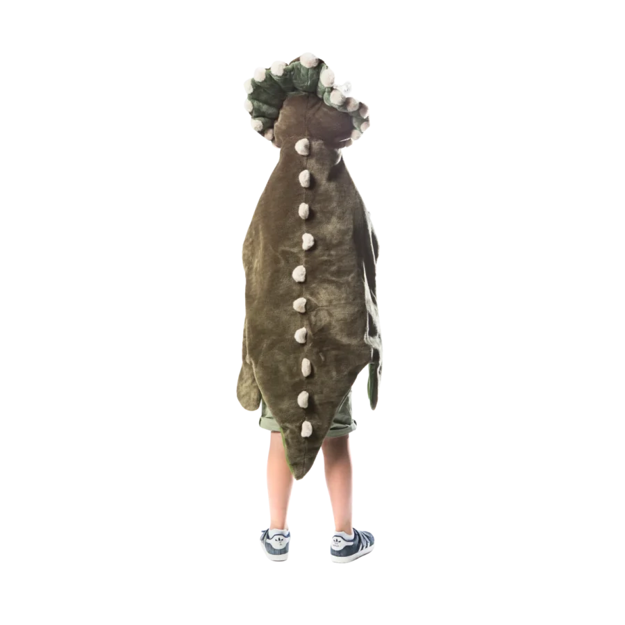 Dinosaur Costume 3.png