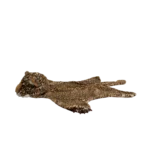 Leopard Costume 5.png Leopard Costume 5.png