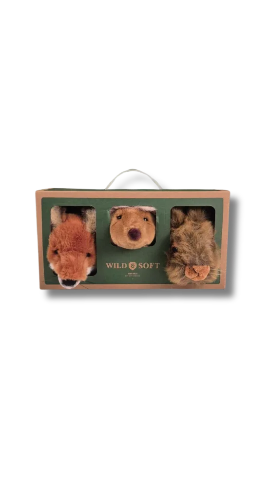 Ontwerpzondertitel E0a1579c Eadf 49ff B136 Bf3810e4dccd.png