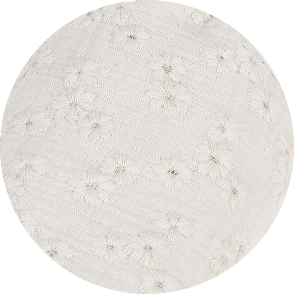 D438d8 C47900f485a74b629d570a04ee24c20a~mv2