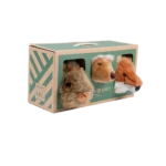 Forestbox 001 2 Bewerkt.png Forestbox 001 2 Bewerkt.png